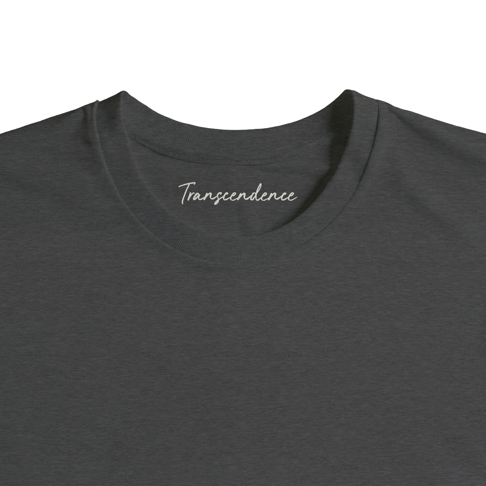 Transcendence - "Ready to Fly" T-shirt Grey Melange 2