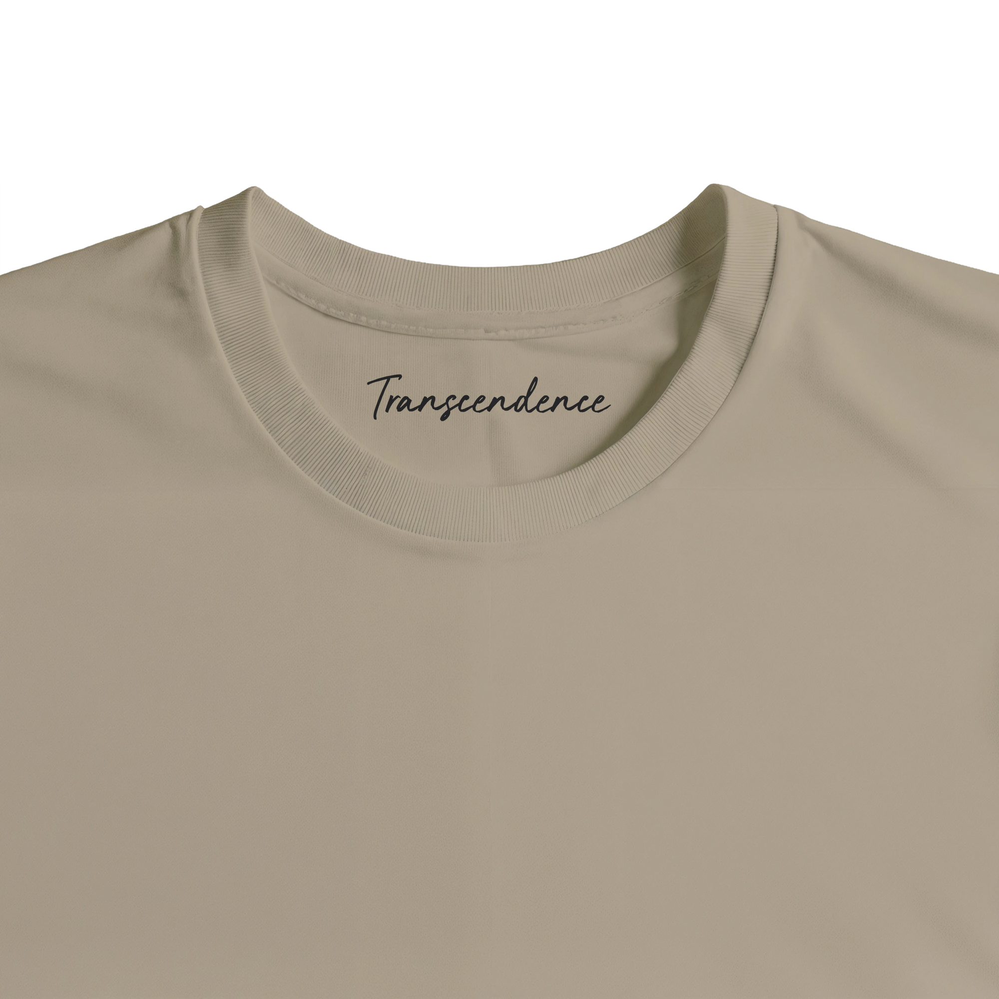 Transcendence - "Ready to Fly" T-shirt Khaki 2