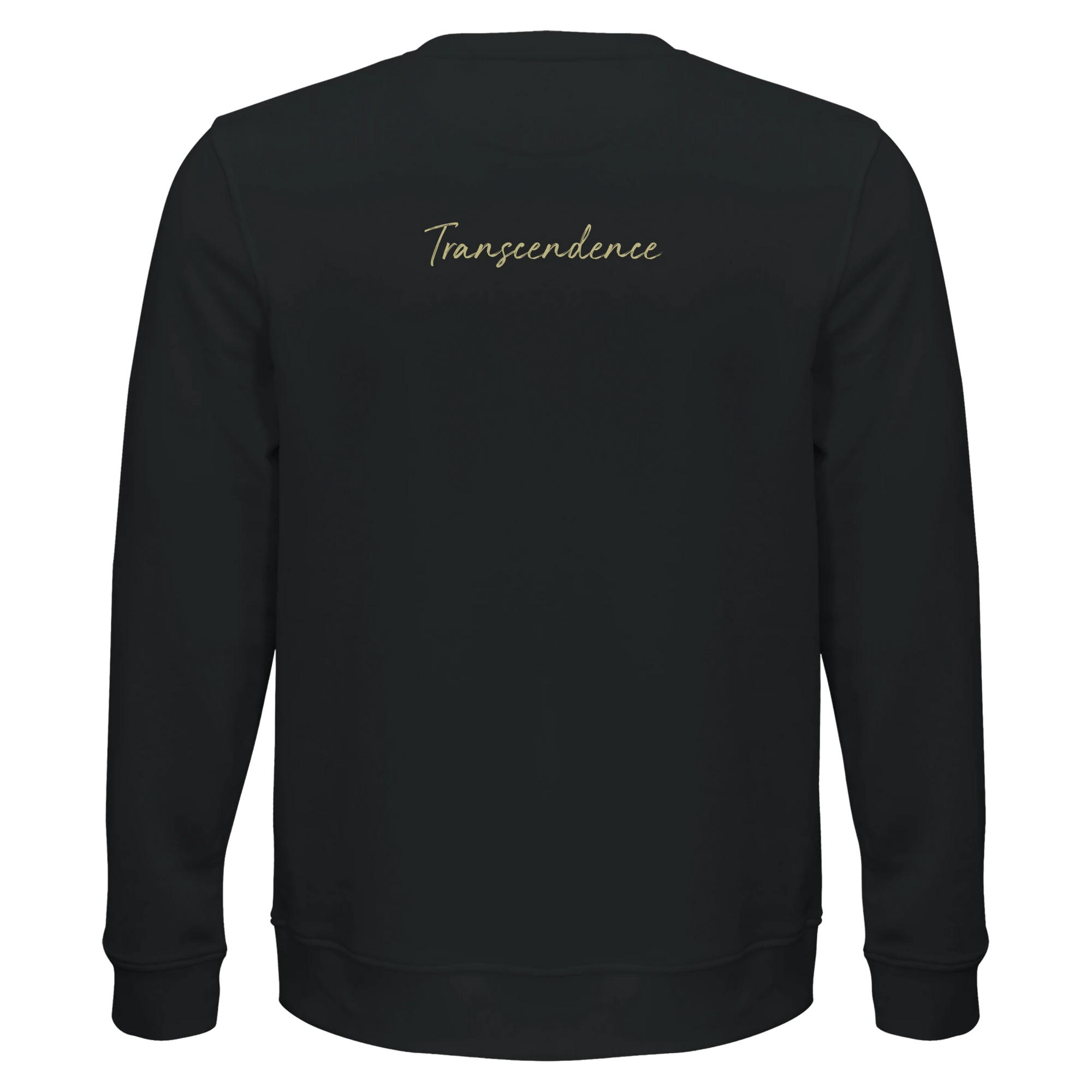 Transcendence - "Ready to Fly" Sweatshirt Black XS 17