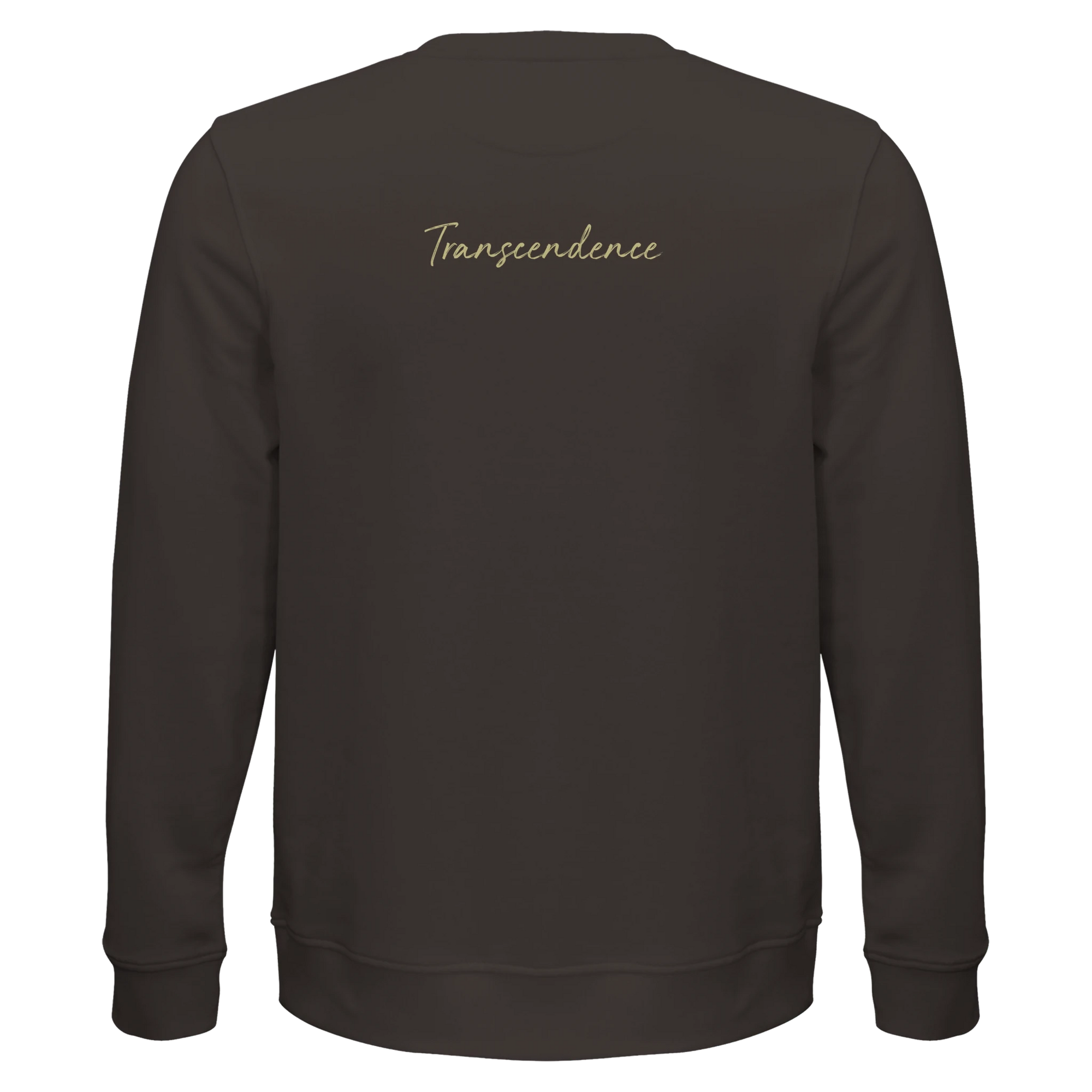 Transcendence - "Ready to Fly" Sweatshirt deep charcoal grey XS 29
