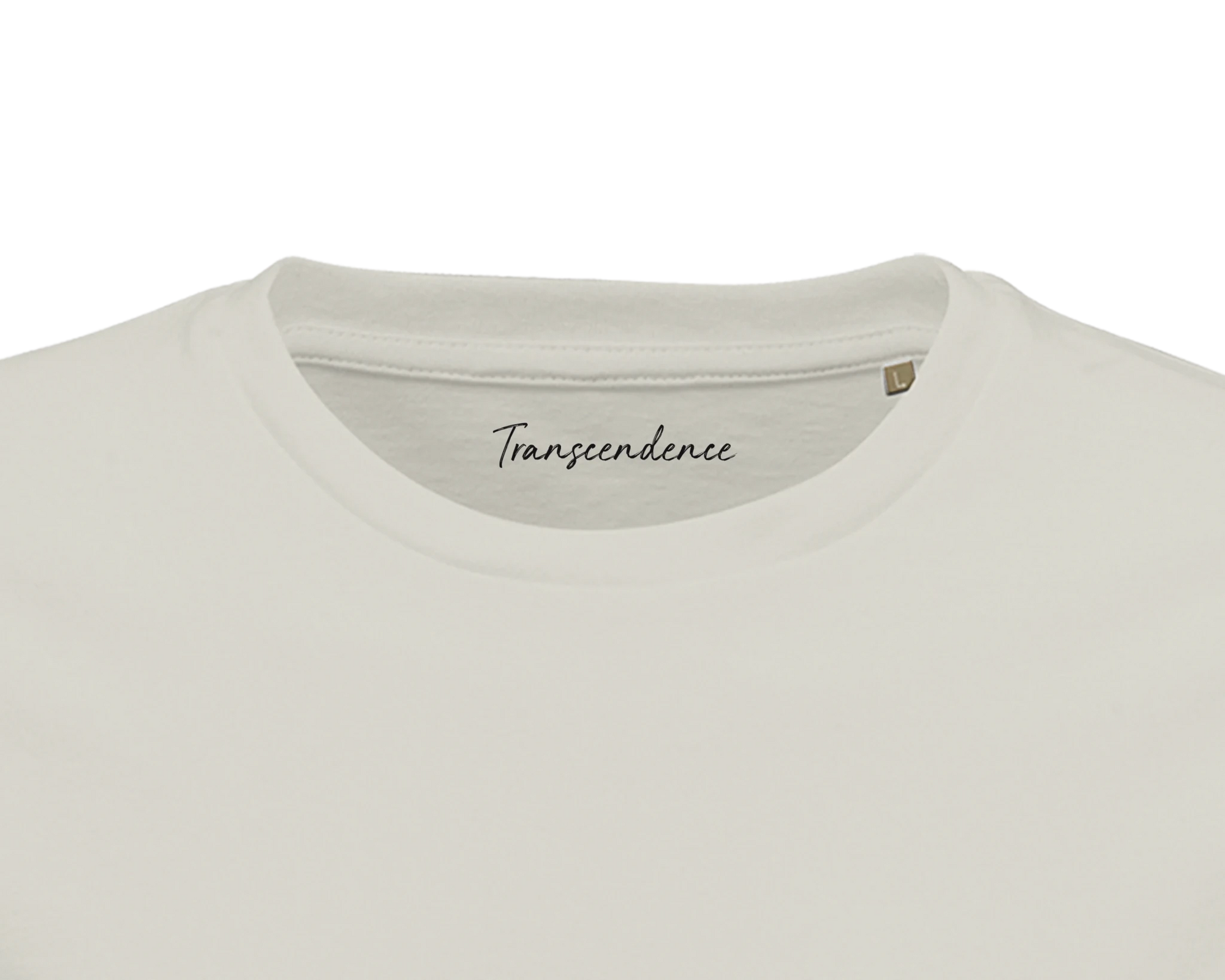 Transcendence - "Ready to Fly" T-shirt Ash XS 2