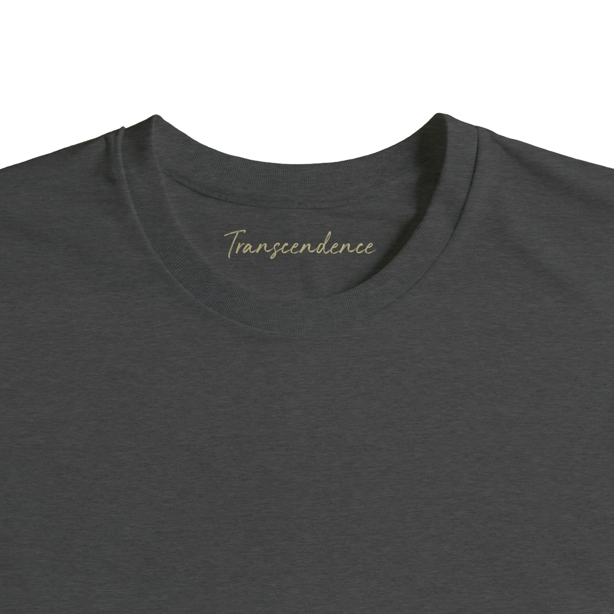 Transcendence - "Ready to Fly" T-shirt Grey Melange XS 2