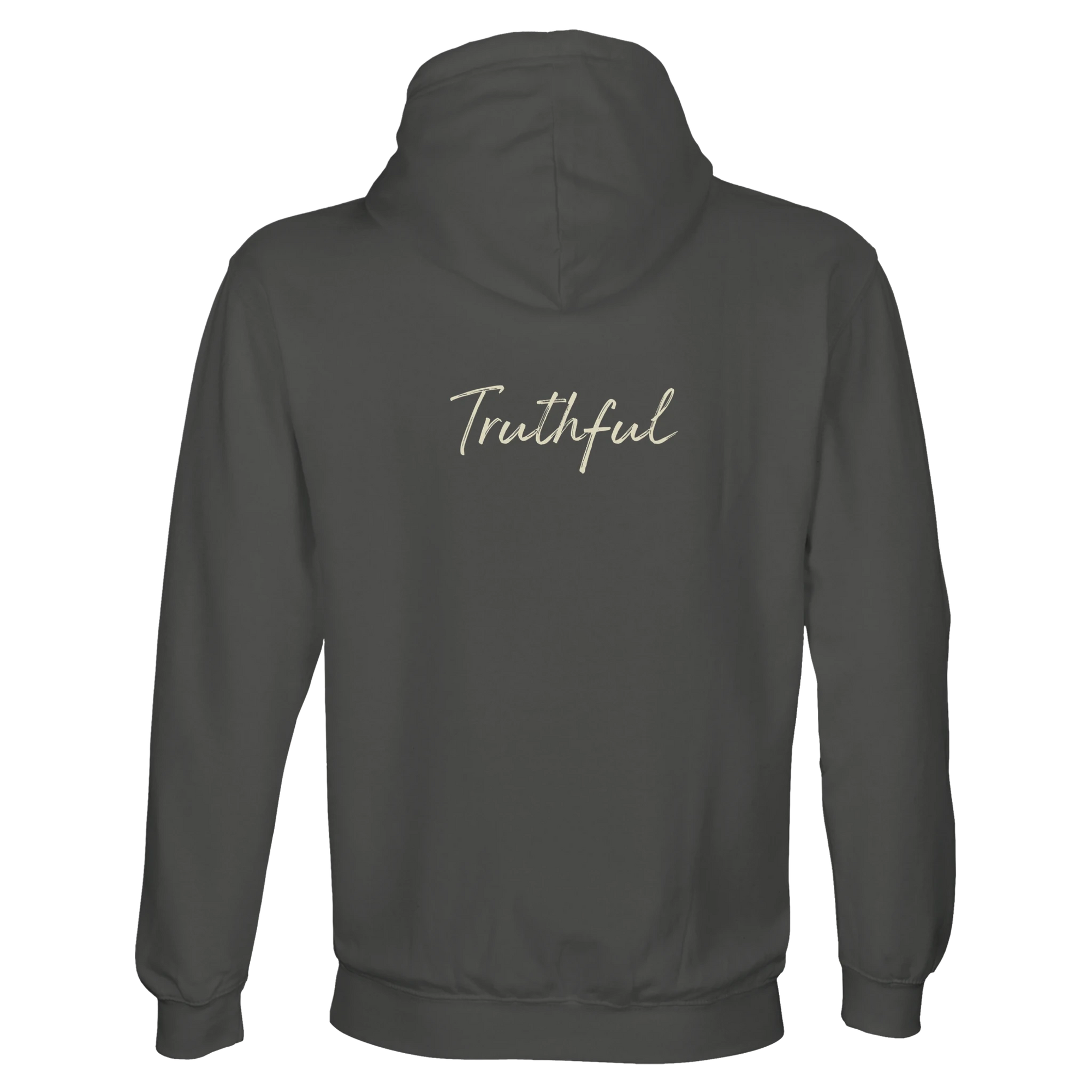 Truthful  Hoodie  "Have a Looksie"charcoal melange 40