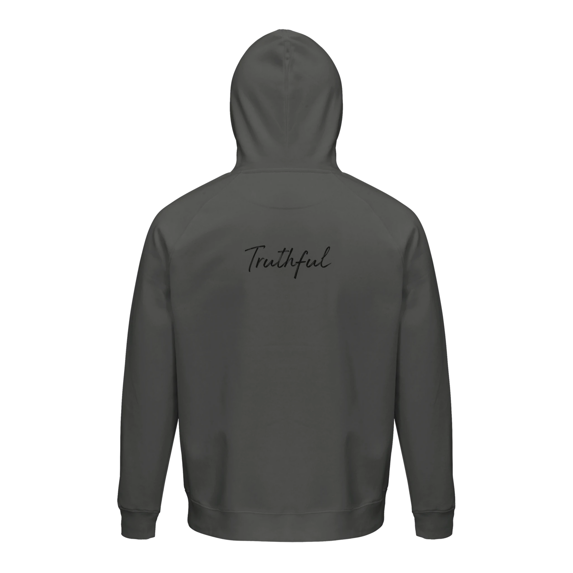 Truthful - "Have a Looksie" Hoodie charcoal melange XS 35