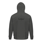 Truthful - "Have a Looksie" Hoodie Grey Melange XS 2