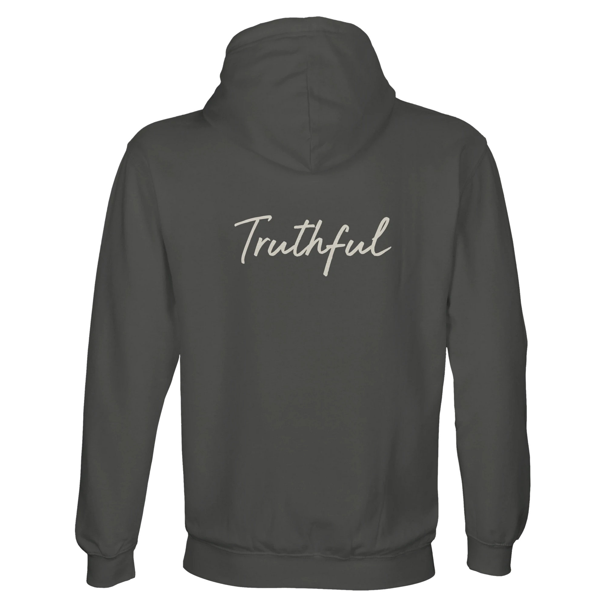 Truthful - "Have a Looksie" Hoodie charcoal melange 2