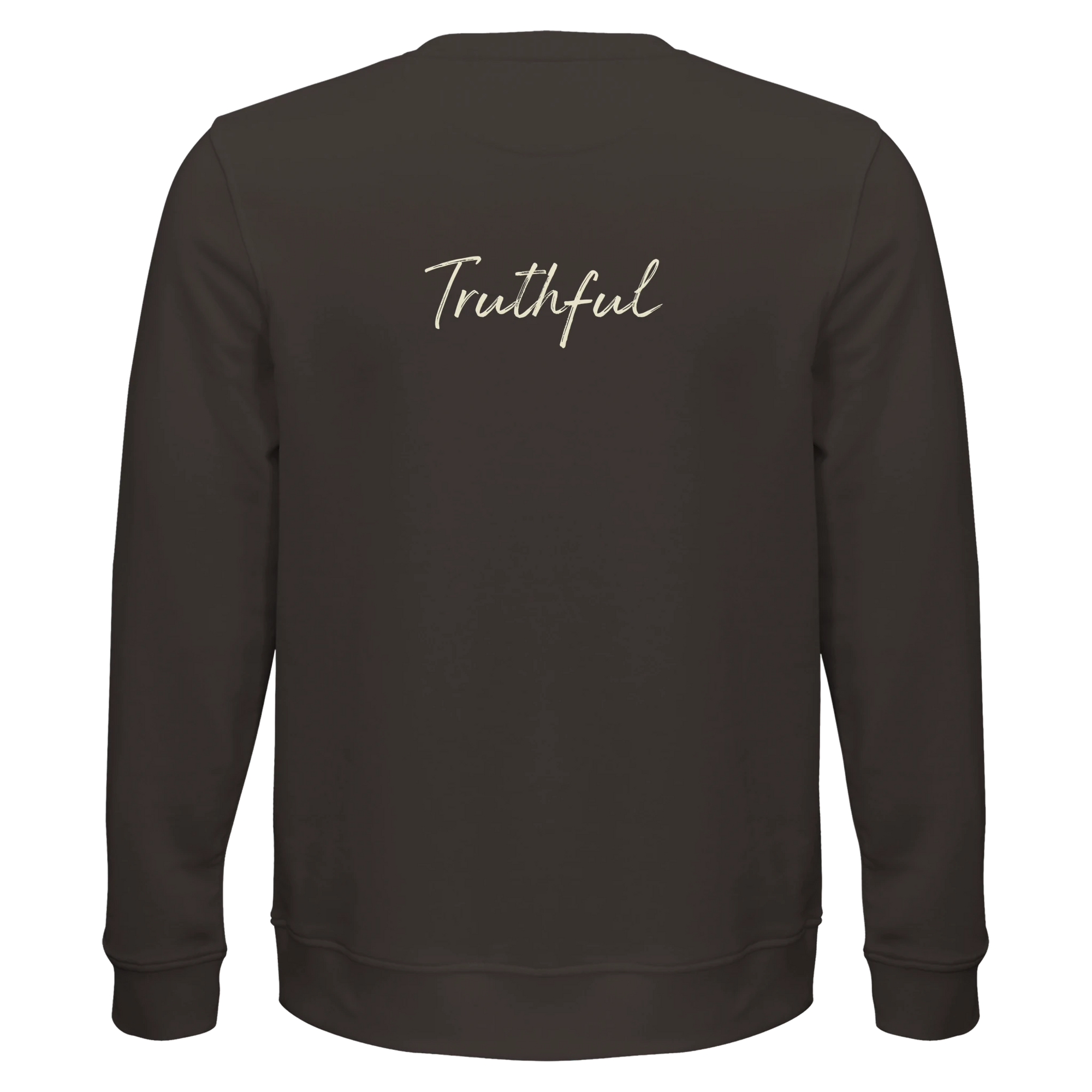 Truthful - "Have a Looksie" Sweatshirt deep charcoal grey XS 17