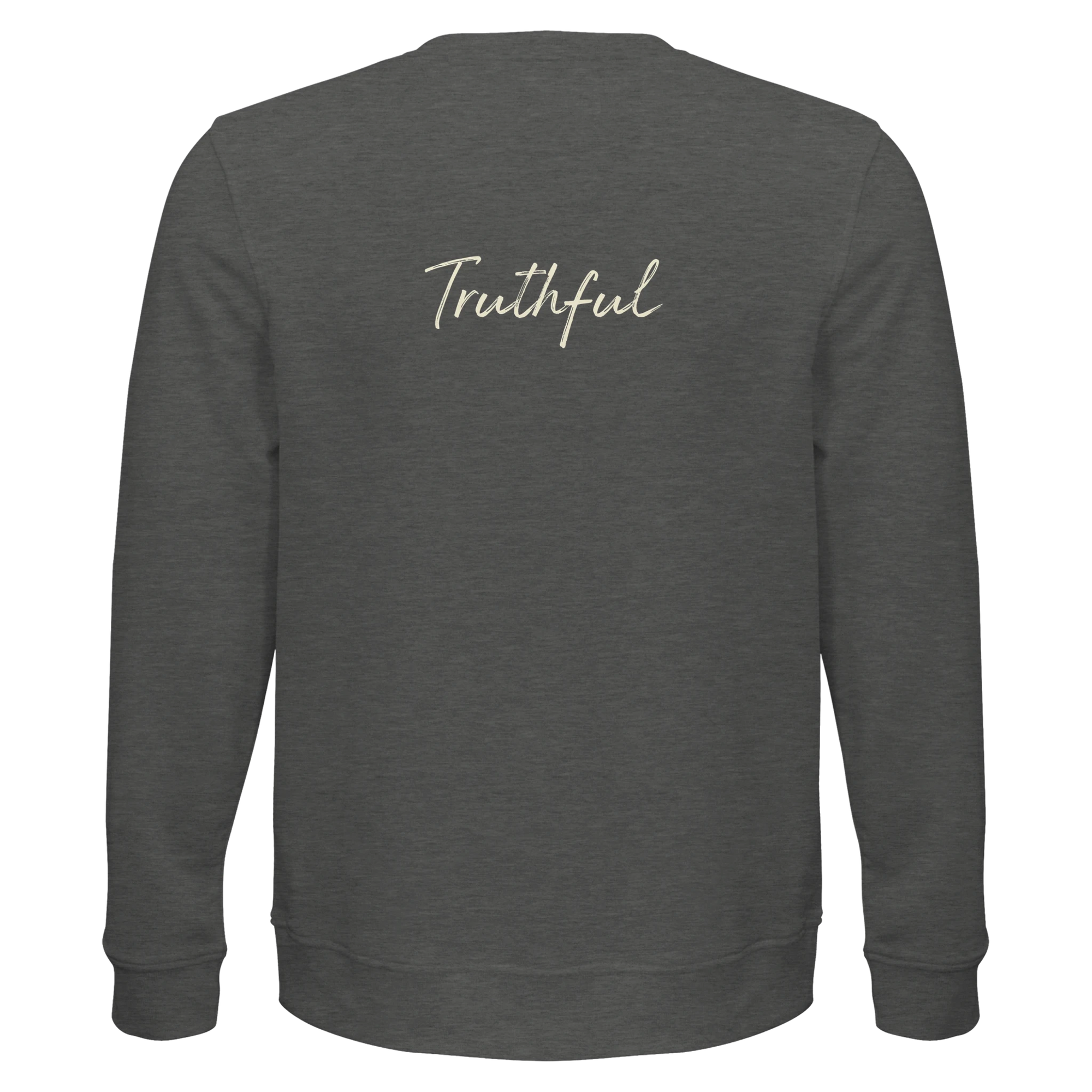 Truthful - "Have a Looksie" Sweatshirt Grey Melange XS 11