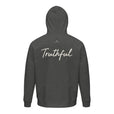 Truthful - "Have a Looksie" Hoodie Grey Melange 2
