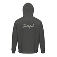 Truthful - "Have a Looksie" Grey Melange 2