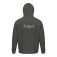 Truthful - "Have a Looksie" Grey Melange 2