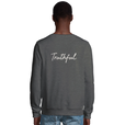 Truthful - "Have a Looksie" Sweatshirt Grey Melange 4