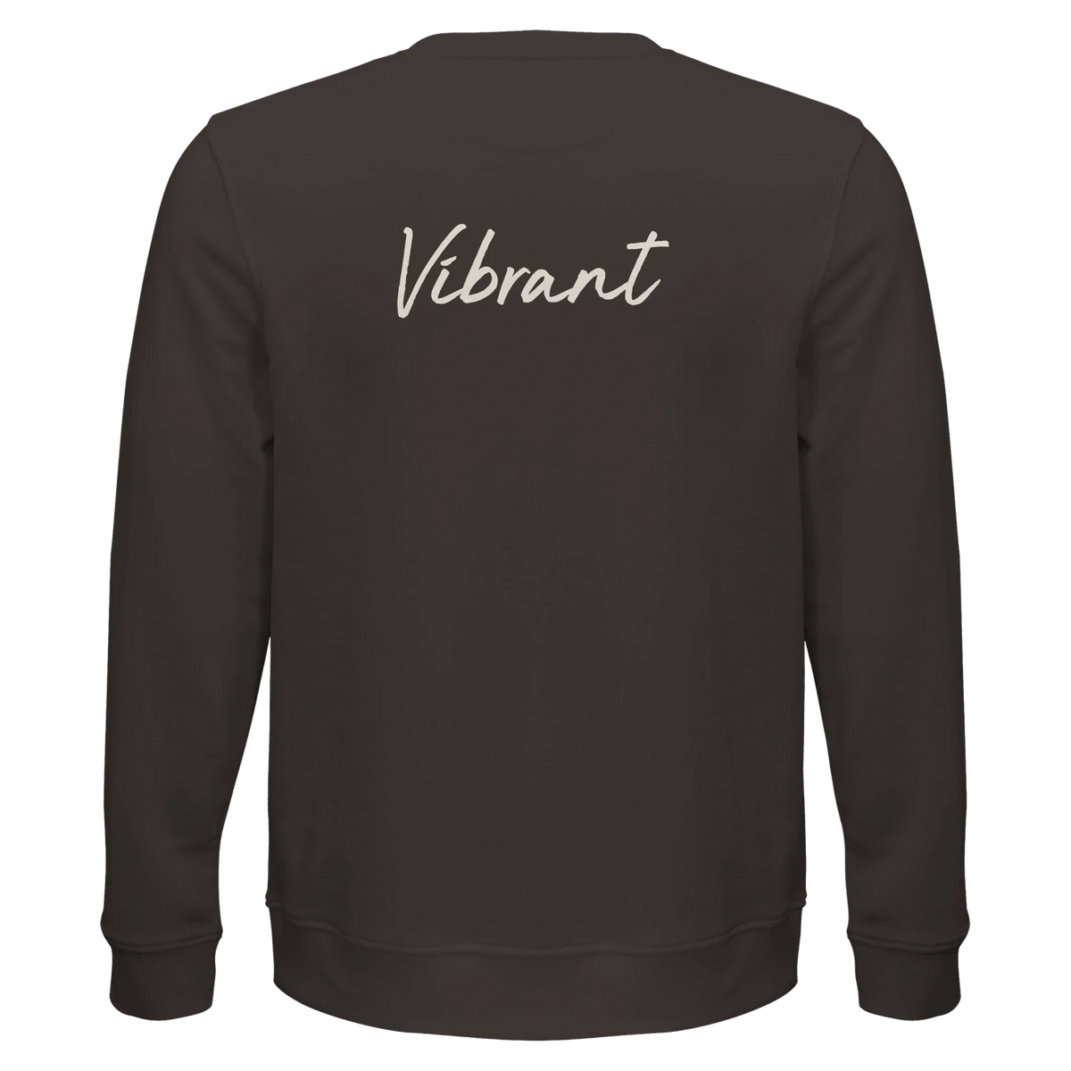 Vibrant - "Never too Late" Sweatshirt deep charcoal grey 2