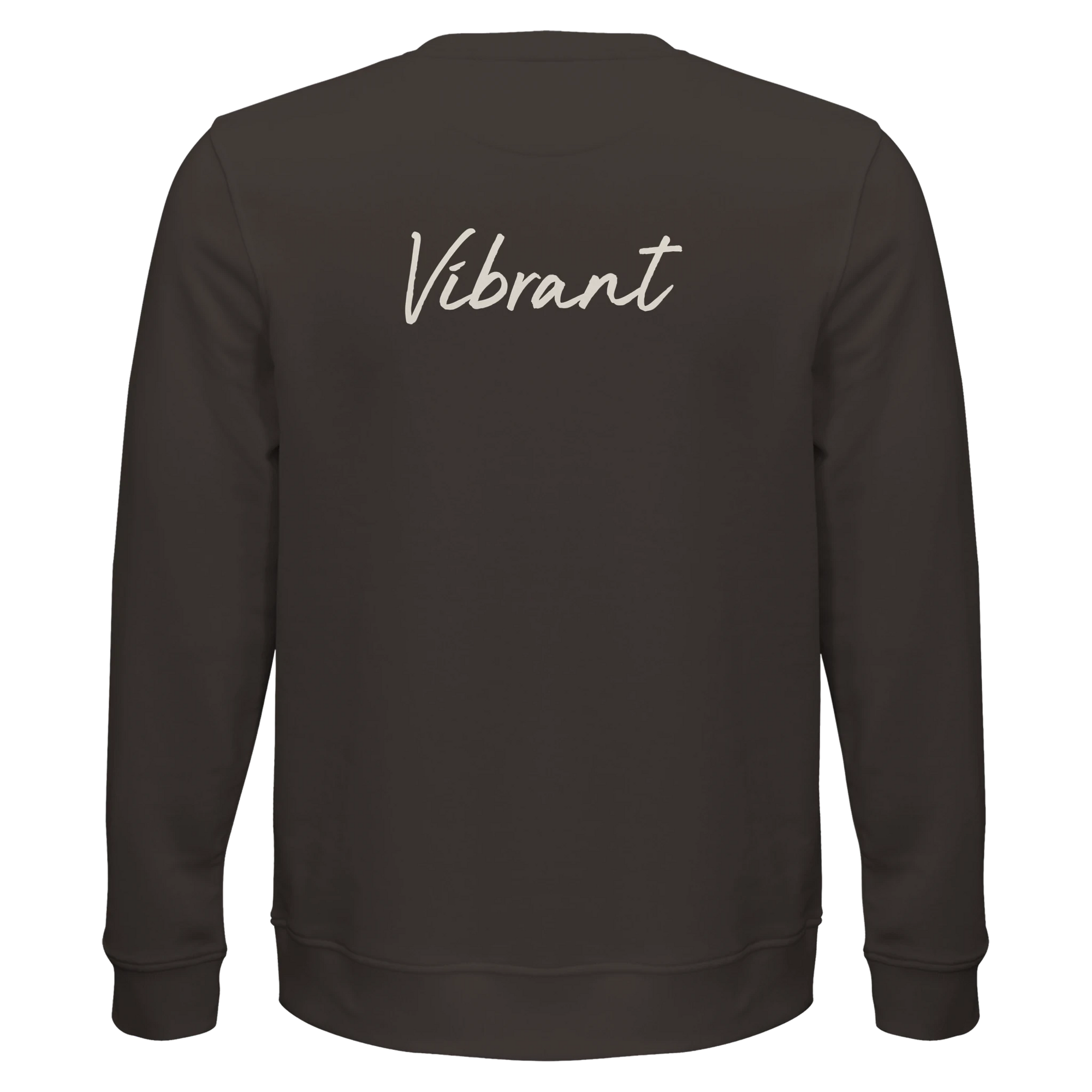 Vibrant - "Never too Late" Sweatshirt deep charcoal grey 2