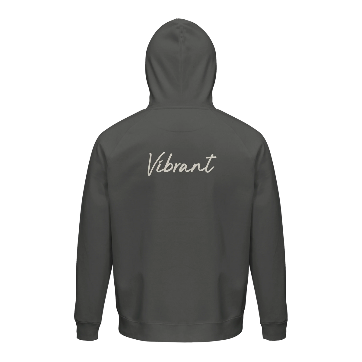 Vibrant - "Never too Late" Hoodie charcoal melange 2