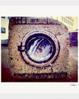 Wash It Framed print 20x25 cm / 8x10″ White frame 8