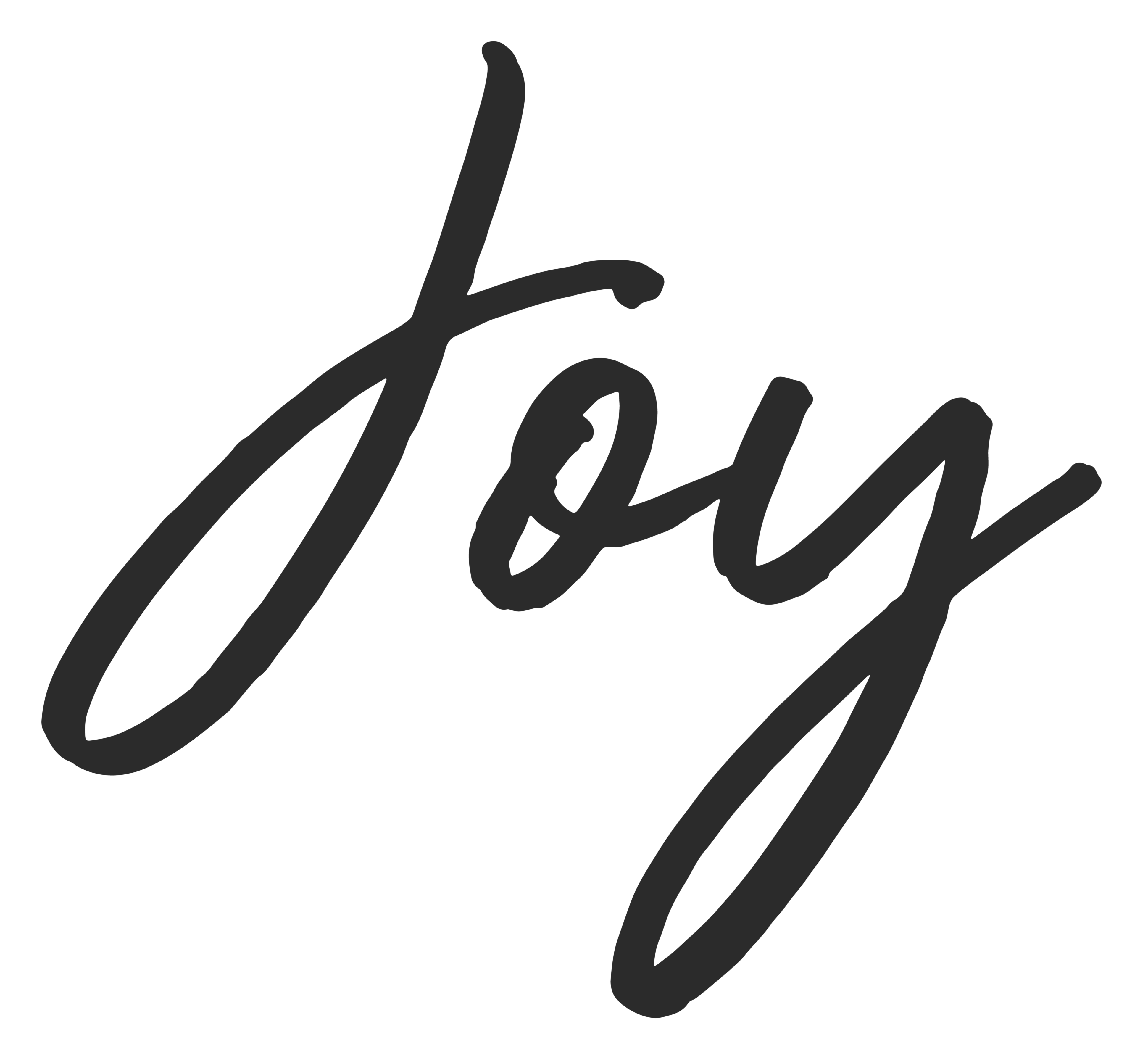 Joy